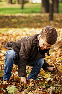 boy wearing brown jacket and blue jeans picking brown leaves thumbnail