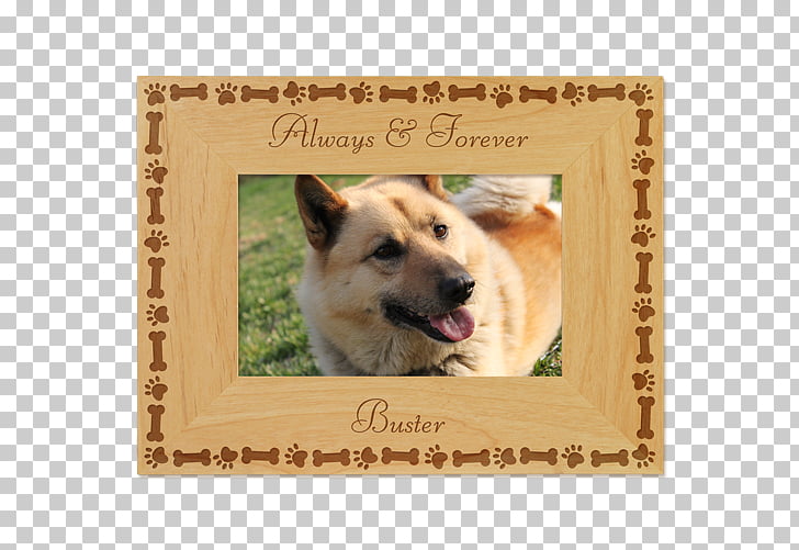 Dog Breed Icelandic Sheepdog Puppy Love Frames Puppy Png Clipart