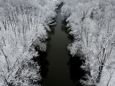 black water stream between bare trees thumbnail