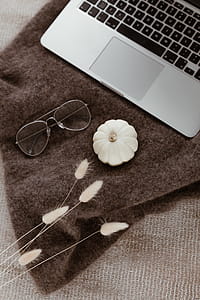 Laptop, glasses & small white pumpkin thumbnail