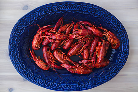 Crayfish on a blue plate thumbnail