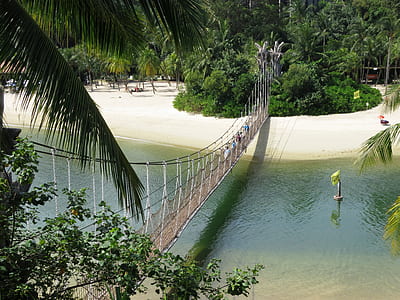group of people crossing the bridge thumbnail