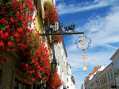 red flowers on wall of a building photo thumbnail