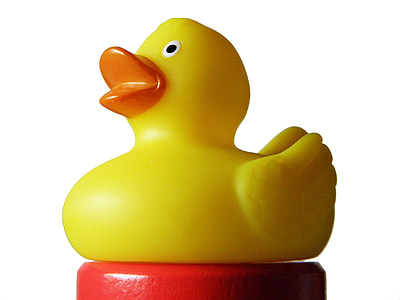 yellow rubber ducky on red surface thumbnail