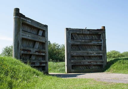 wood, grass, gate, wooden thumbnail