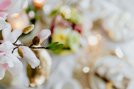 Easter Table Decorations thumbnail