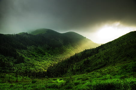 green mountain thumbnail