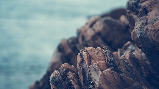 brown driftwood in macro photography thumbnail