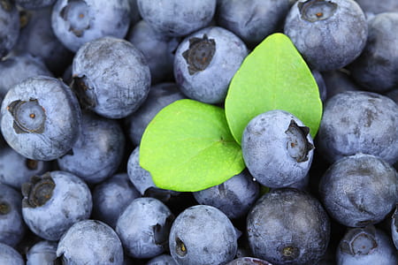 two leads on stack of blueberries thumbnail