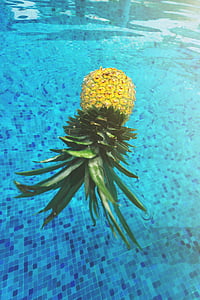 pineapple on body of water thumbnail