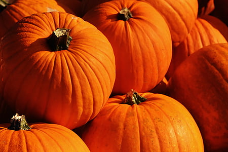 bunch of pumpkin thumbnail