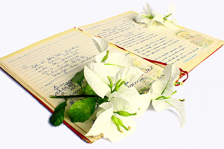 white flowers on top of notebook thumbnail