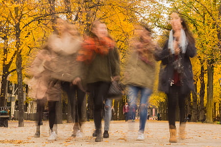 people walking near trees during daytime thumbnail