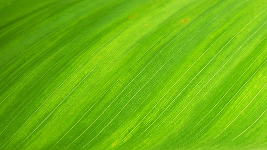 green textile thumbnail