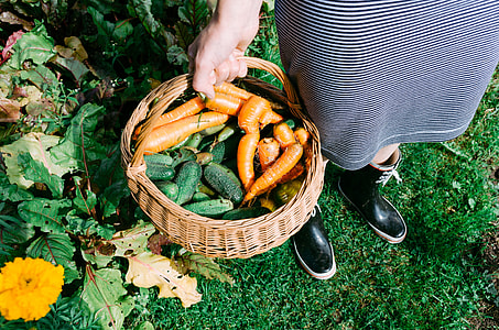 Homegrown vegetables in a basket thumbnail