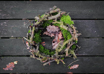 green leaves and twigs wreath on wooden surface thumbnail