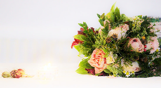 pink and white flowers with green leaves thumbnail