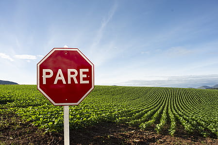Signage Near Green Grass Field thumbnail
