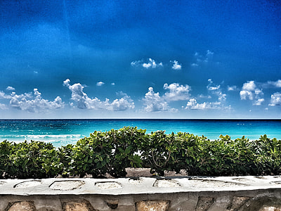 body of water near plants under blue sky thumbnail