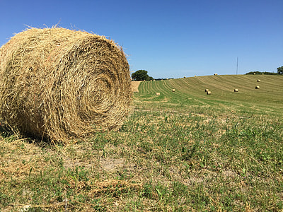 Round Hay Bale, Big Round Bale thumbnail