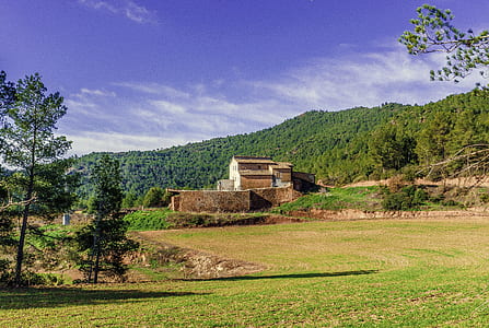 brown 2-storey house surrounded with grass field thumbnail