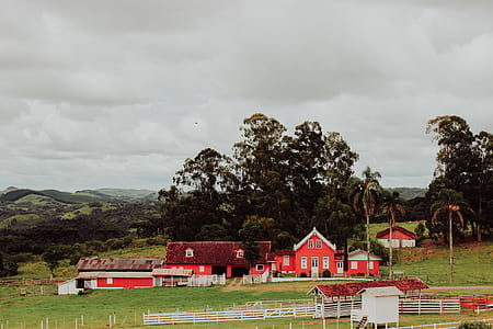 pink house photography thumbnail