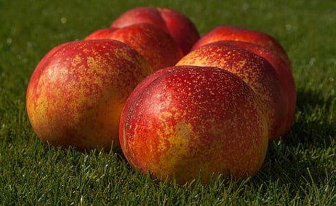 six yellow-and-red fruits thumbnail