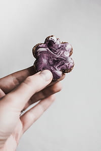person holding cookie thumbnail