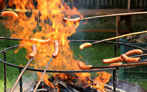 people grilling sausages thumbnail