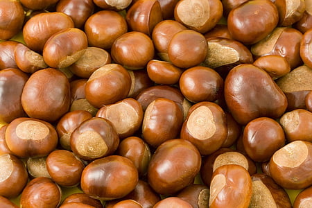 hazelnuts thumbnail