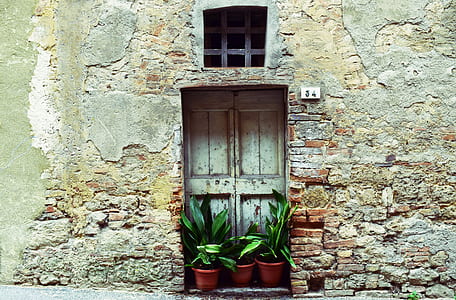 brown brick house with green window and plants thumbnail