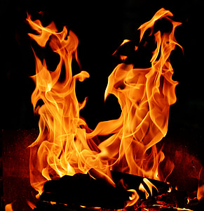 burning woods illustration thumbnail