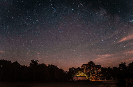 silhouette of trees during nighttime thumbnail