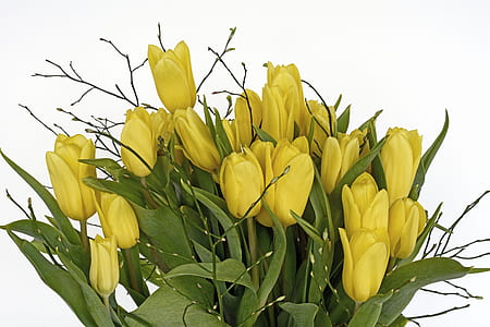 photo of yellow tulip flowers bouquet thumbnail