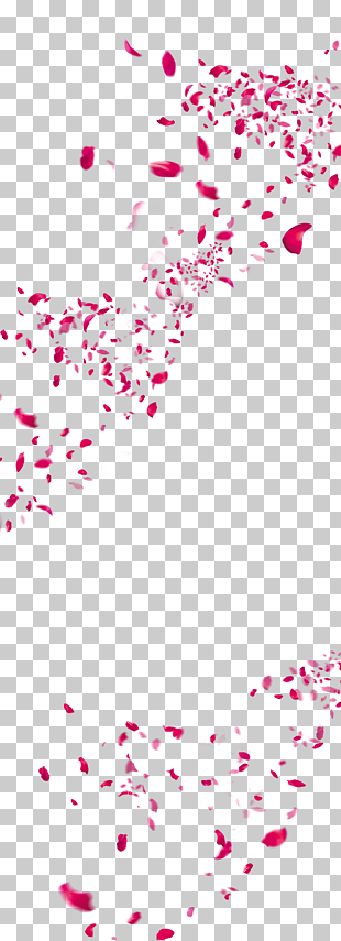 Flower Petal, Peach petals,festival,Flowers,Fall decoration,Pink Creative,Petals wedding,Rose Petals, red flower petals illustration PNG clipart