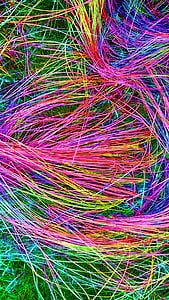 assorted-color strings on green grass thumbnail