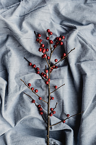 red berries thumbnail