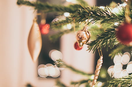 assorted hanging christmas decors on pine tree thumbnail
