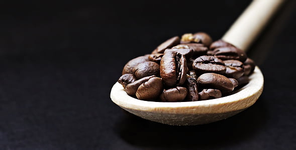 selective focus of coffee beans thumbnail