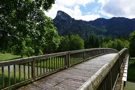 brown and gray bridge near tall green tree with mountain background thumbnail
