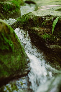 water running between moss covered rocks thumbnail