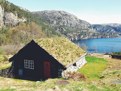 Green Brown and Red Wooden House on Green Grass thumbnail