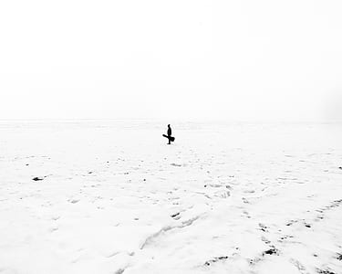 person in the middle of ice land holding guitar thumbnail