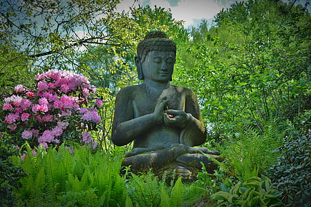 Gautama Buddha statue near flowering tree thumbnail