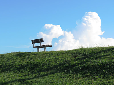 brown and white wooden metal-framed bench on grass thumbnail