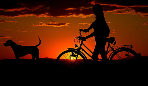 silhouette of person with bike and dog thumbnail