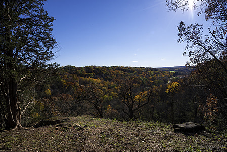 Morton County Forest Overlook in Wisconsin thumbnail