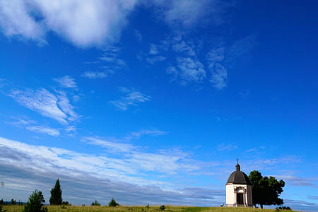 white and black cathedral with cross finial near green leafed tree thumbnail