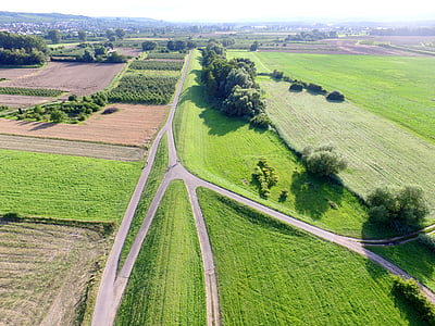 aerial view of grasses thumbnail