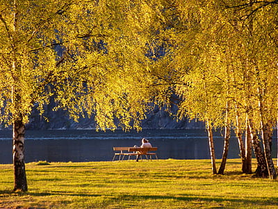 person seating on bench thumbnail